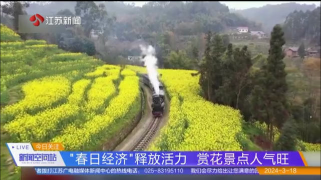 “春日经济”释放活力 赏花景点人气旺